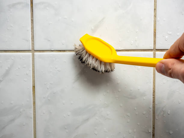 Best Best Mold Removal Companies  in Koloa, HI
