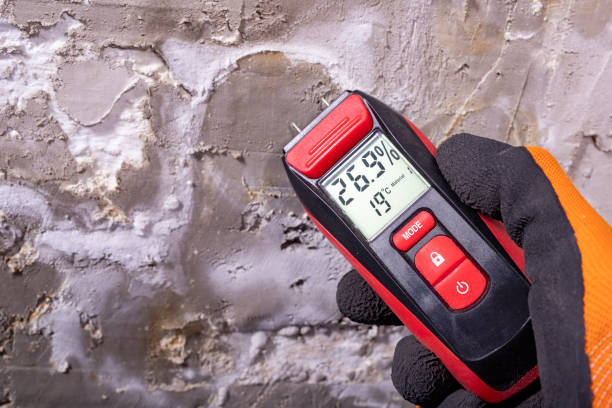 Best Local Mold Removal Service  in Koloa, HI