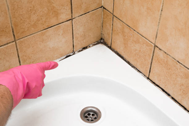 Best Crawl Space Mold Removal  in Koloa, HI